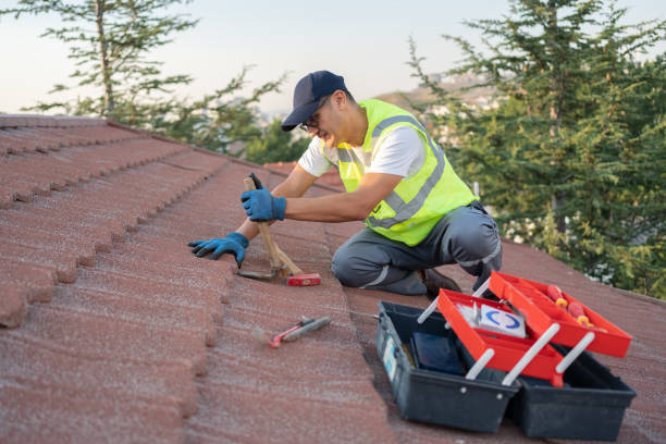 Best Storm Damage Roof Repair  in Willow, AK